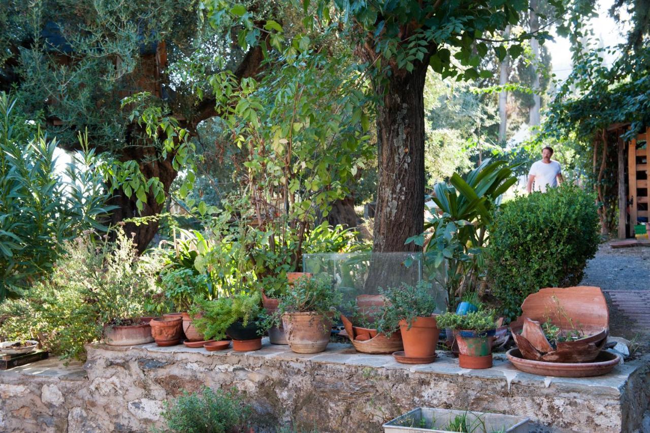 Tirós Studios Kyparissi & Spa מראה חיצוני תמונה